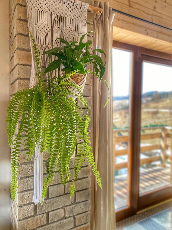 Dziejba Lesna Apartamenty &Spa - Piekne I Nowe Apartamenty I Domek, Sauna I Jacuzzi - W Cenie I Na Wylacznosc, 1 Km Od Stoku 야보르키 외부 사진